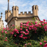 Dornenhecke als Märchensymbol: Dornröschen-Schloss umgeben von einer Dornenhecke