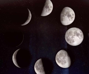 Mond-Zyklus Der Zyklus des Mondes mit neumond, zunehmendem Mond, Vollmond und abnehmendem Mond.
